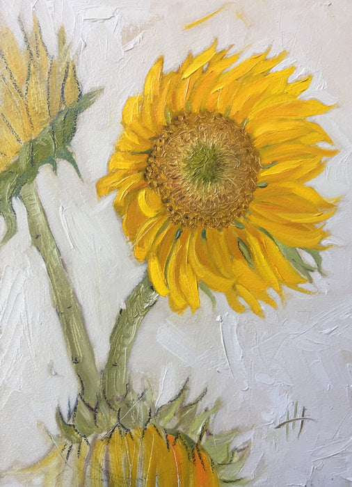 Sunflower Sketch